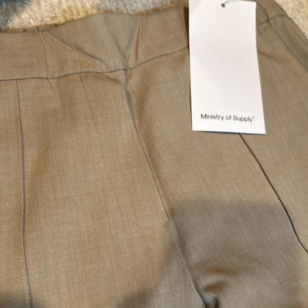 Ministry of Supply small size mock tneck and medium cropped pants. Cute together